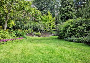 Optimiser l'expérience du jardin à Hescamps
